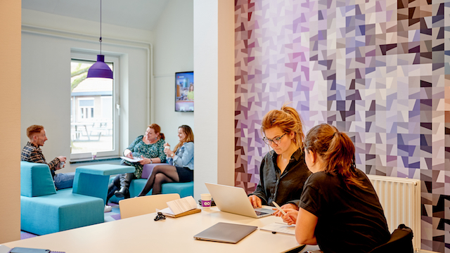 Communicatie stagiair bij EO