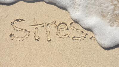 HEB JIJ HULP NODIG BIJ HET VINDEN VAN EEN STAGE?