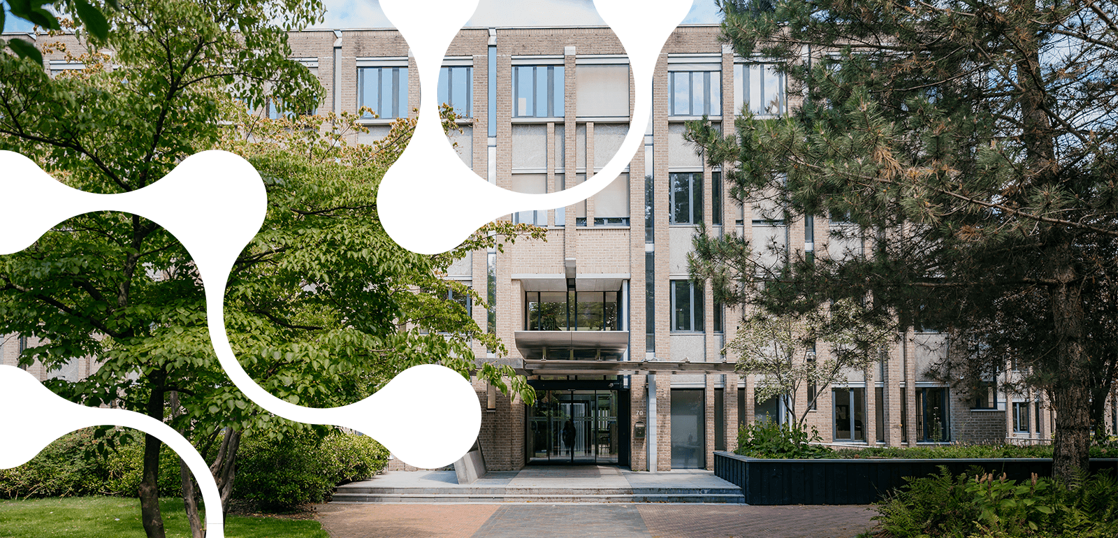 Stagiair Creative Concepting bij Talpa Creative