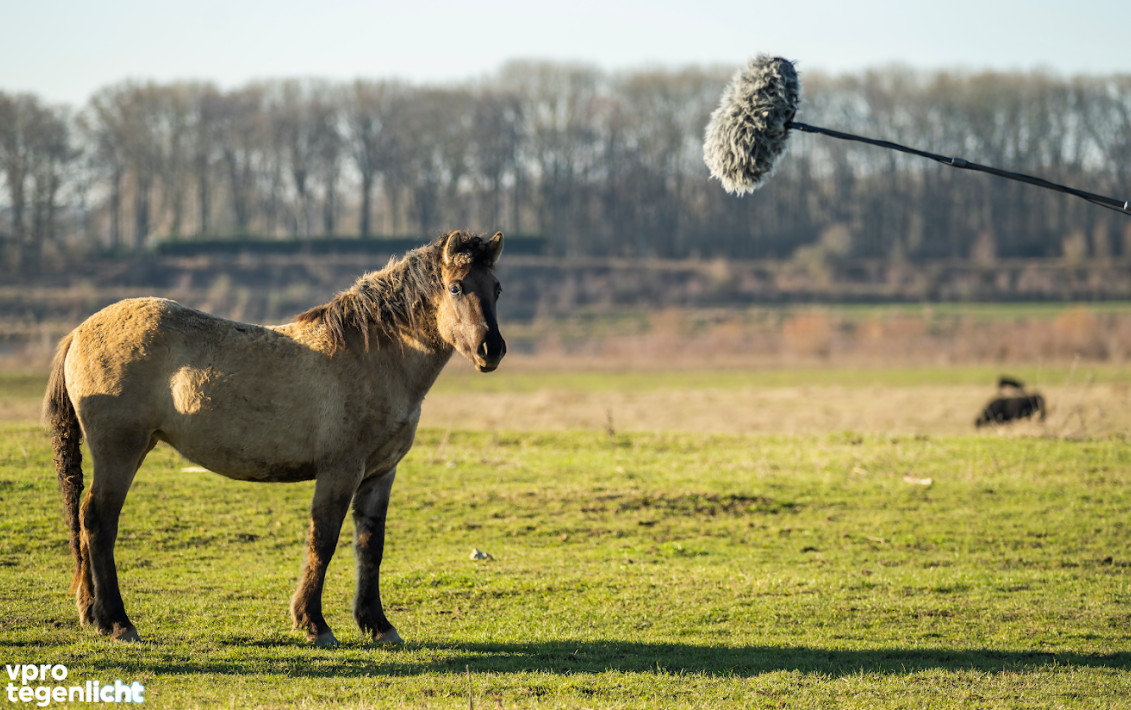 Productie stagiair bij Tegenlicht